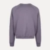 Raglan Sweatshirt